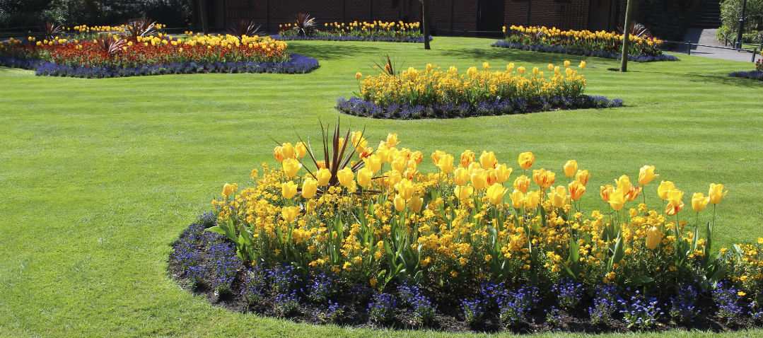 Affordable Backyard Landscaping Backyard Landscaping