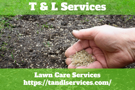 Dependable Lawn Care Services in Kinston, NC Reliable Lawn Care Services in Kinston, NC