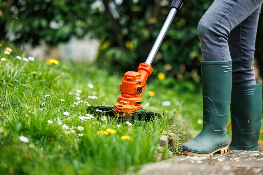 Effective Weed Control Techniques By Lawn Care Specialists Kinston, NC Effective Weed Control Techniques By Lawn Care Specialists Kinston, NC