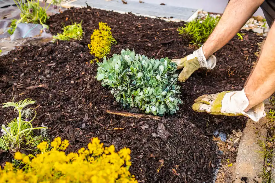 Excellent Mulching Kinston, NC Excellent Mulching Kinston, NC
