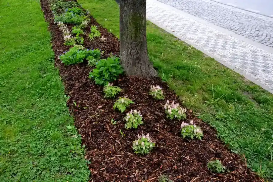 How To Choose The Right Mulch For Your Landscape Needs in Kinston, NC How To Choose The Right Mulch For Your Landscape Needs in Kinston, NC