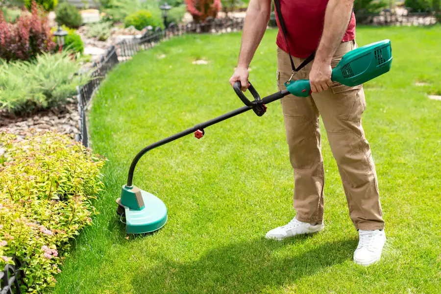 Reputable Lawn Care Service Kinston, NC Reputable Lawn Care Service Kinston, NC