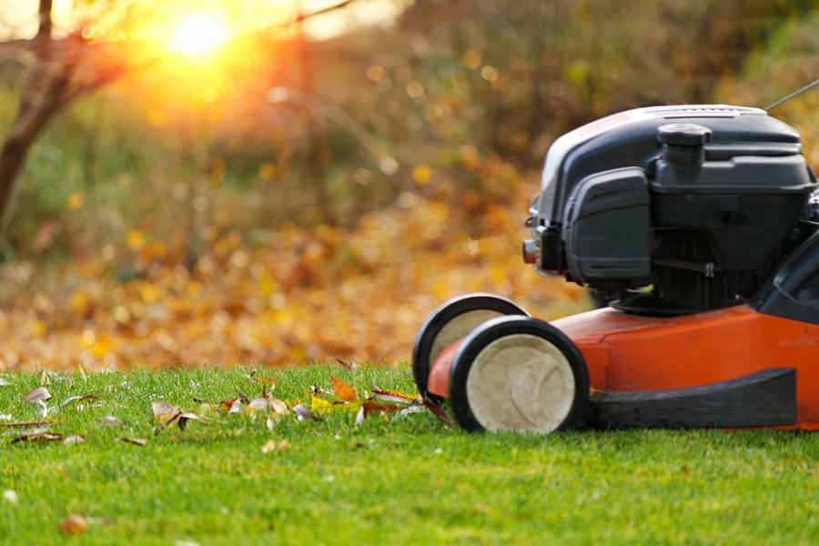 Seasonal Lawn Care Strategies For A Healthy Green Yard in Kinston, NC Seasonal Lawn Care Strategies For A Healthy Green Yard in Kinston, NC