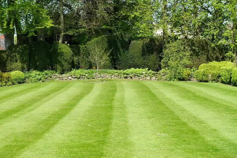 Superior Lawn Care Service Kinston, NC Superior Lawn Care Service Kinston, NC